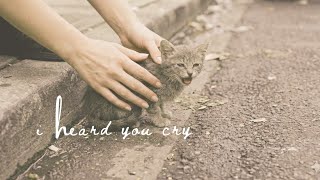 tiny kitten rescue in the City | A Soft Life Moment | ann sangley 🌿 screenshot 1