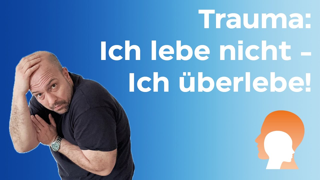 Der Überlebensmodus verständlich erklärt!