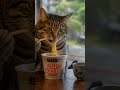 雨の日のカップ麺、しあわせ…🍜【ボスタビー】