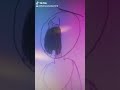 When Winter Break Is Almost Over (Tik Tok #356)