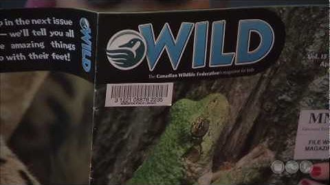 Preschool - Print Motivation