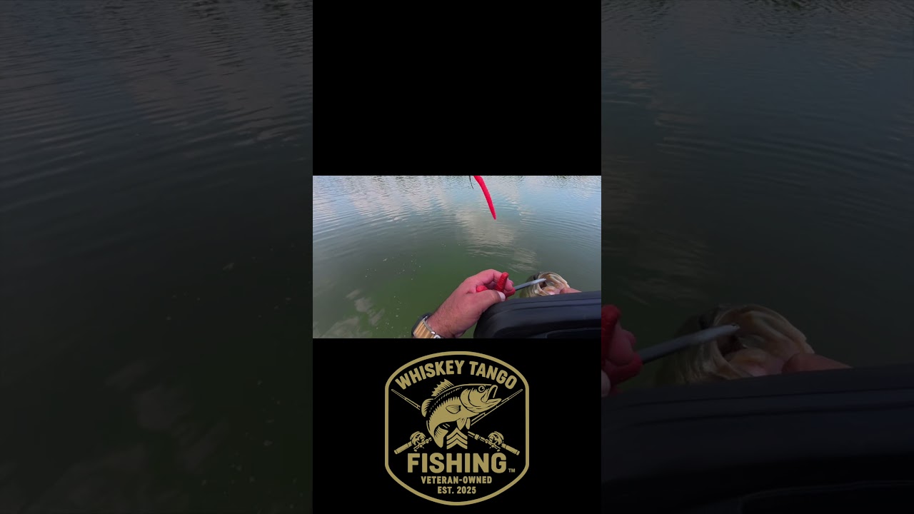 WTF Daily Catch Cam 183