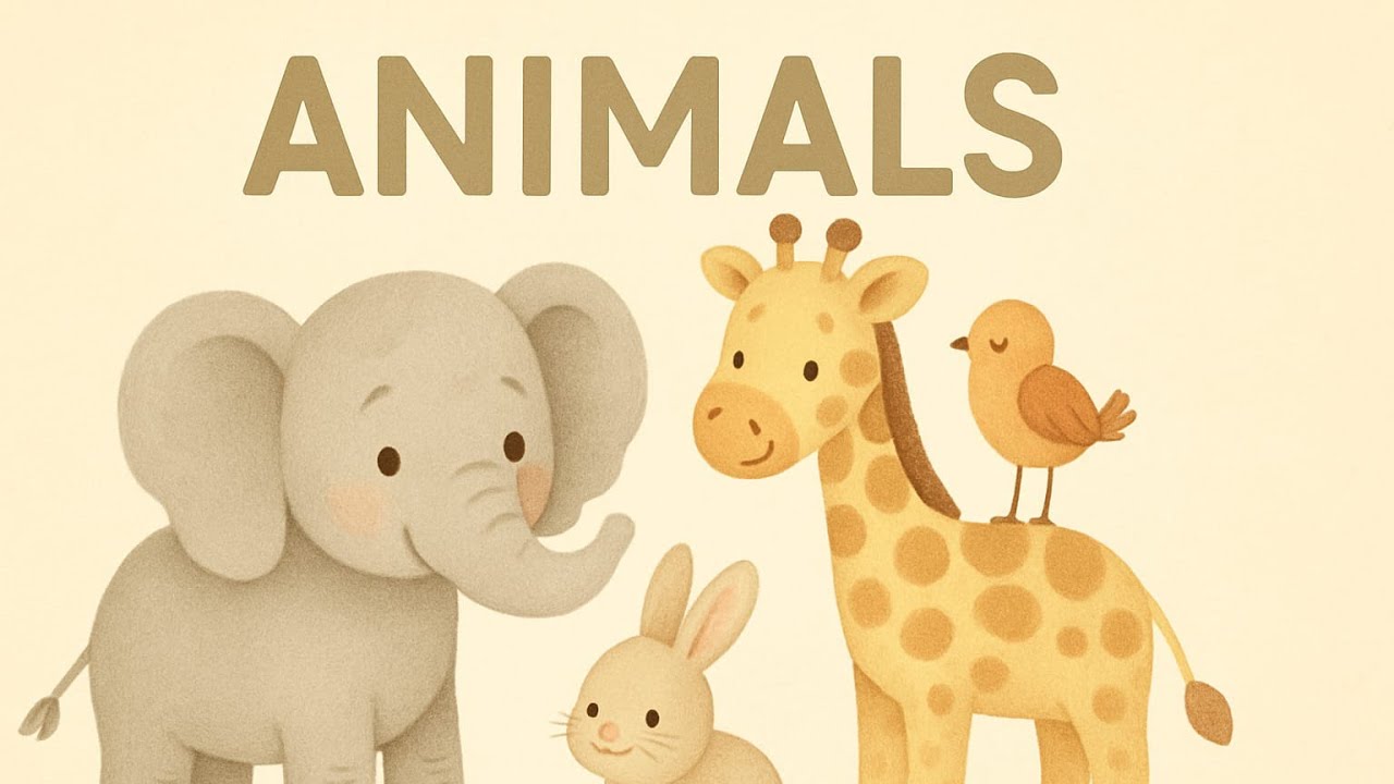 Meet the Animals | Calm Learning Video for Kids and Toddlers | Quiet & Safe Screen Time
