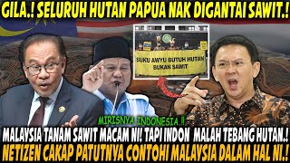 Download Lagu VIRAL‼️ Ahok Tegur Presiden: Jangan Tebang Hutan Papua, Contohilah Malaysia Tanam Sawit! MP3