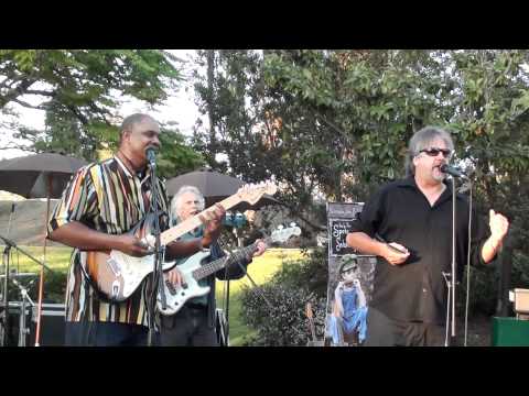 Spring Harp Fest 2011 The Stoney B Blues Band I Ne...