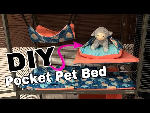 Video: DIY Craft - Pet Pocket