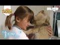 자기 때문에 우는 소녀의 눈물을 닦아주던 강아지.. 그리고 1년 후ㅣDog Wiping Tears A Girl Who Cries Because Of Him, A Year Later