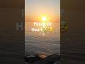Beautiful Morning #MorningSeaView#YtShort#Shorts#YouTubeShorts