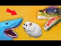 🦖 Dinosaur and Shark 🦈 - Hamster Maze with Traps ☠️ [OBSTACLE COURSE]