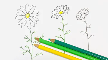 花の色鉛筆色塗り