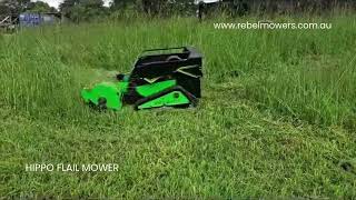 Remote-Controlled Hippo Flail Mower – Perfect for Hard-to-Maintain Properties