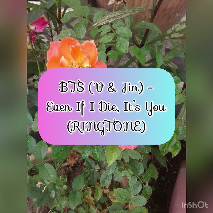 BTS V & JIN - EVEN IF I DIE, IT’S YOU / IT’S DEFENITELY YOU (RINGTONE) OST HWARANG
