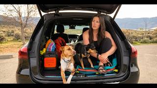 Swapping my Tiny Van Home for Car Life
