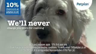 Petplan - Dog TV Ad Jan 2024 20s by Petplan UK 3 views 1 day ago 20 seconds