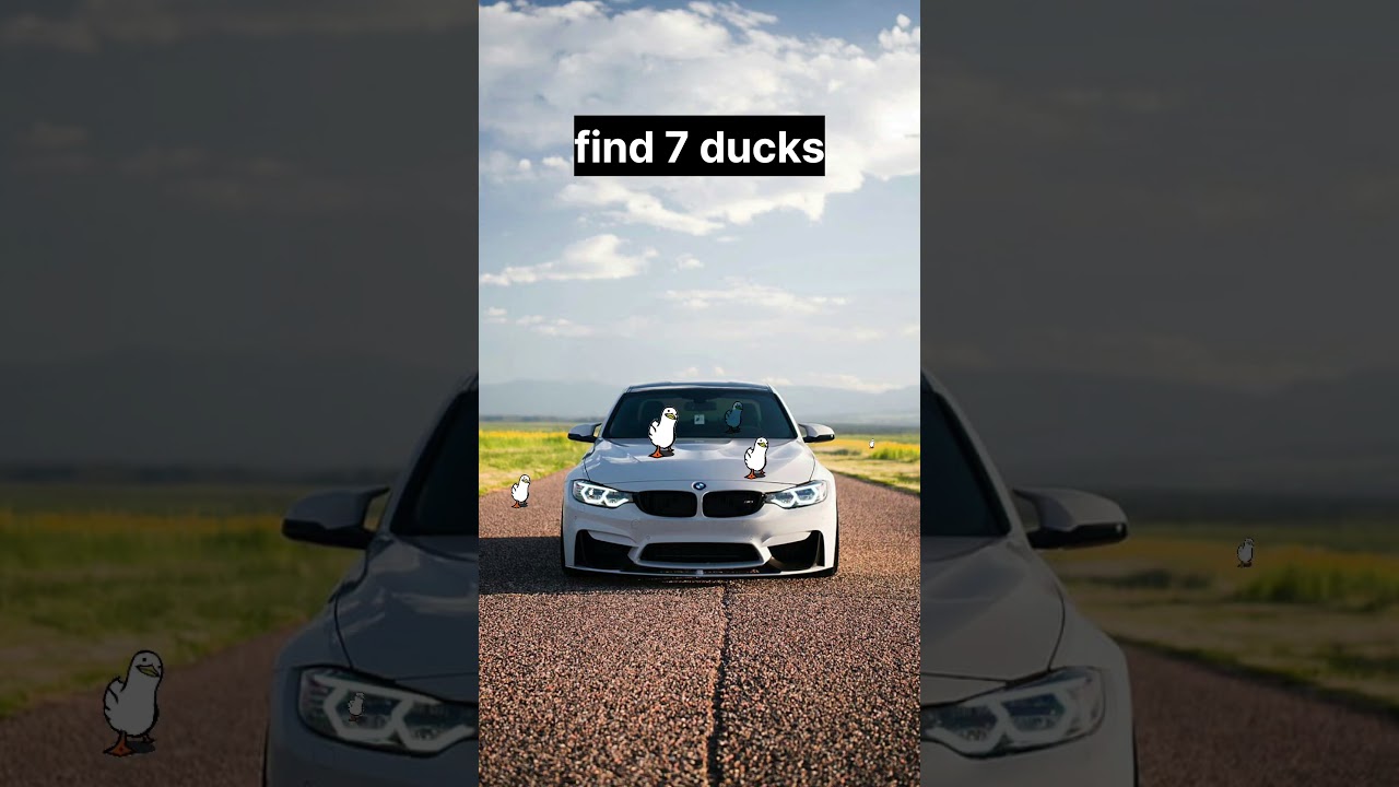only 0.1% people can find all ducks