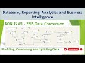 10 - BONUS #1 Data Conversion