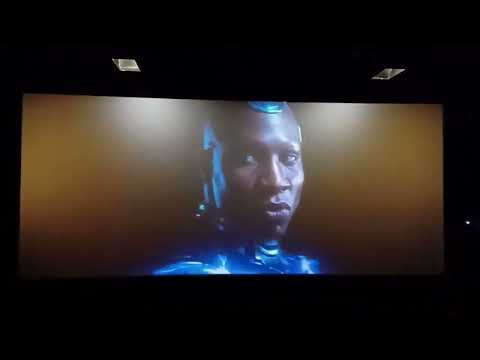 ANT MAN AND THE WASP   QUANTUMANIA I POST CREDIT SCENES I 1 & 2 I SPOILER ALERT