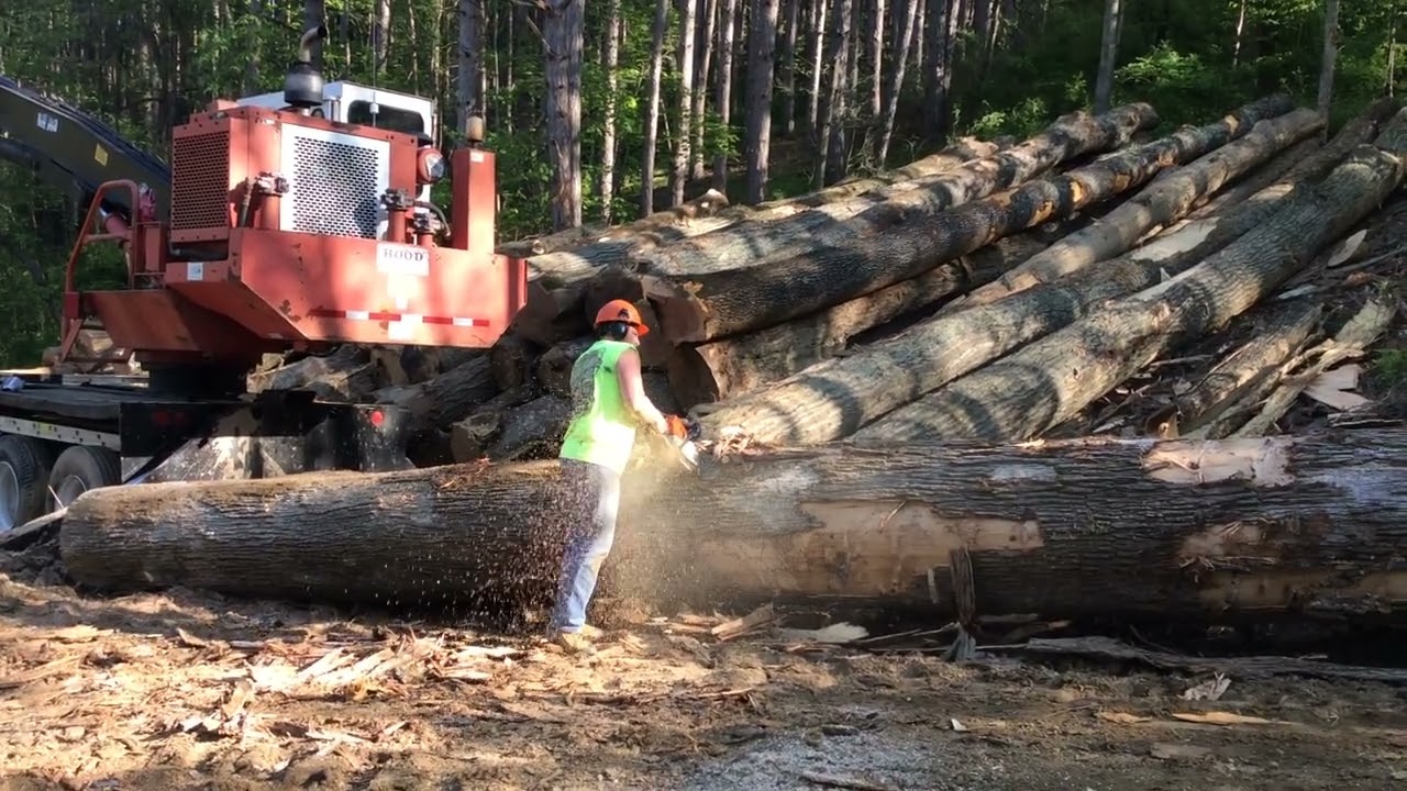 Stacking Timber In Ohio, Timber Buyers