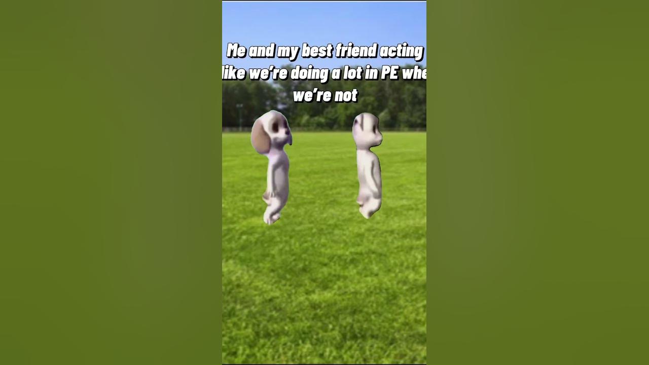 |Dancing Dogs Meme| - YouTube