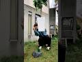 極限のバランス感覚。 #shorts