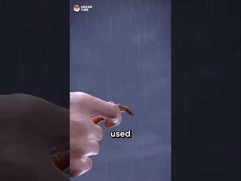 🪱 Magic Trick to Make Worms Surface Instantly!