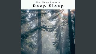 Algorithmic Calm Relax Song