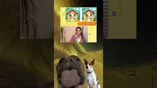 Zagadka #shortsfeed #memes #śmiesznememy #humor #duet #polish #funny #śmieszne #meme #shorts #fyp