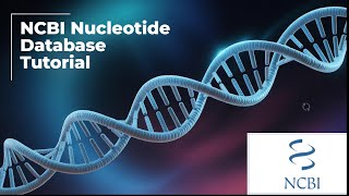 NCBI Nucleotide Database Tutorial | How to Search Genes & Download FASTA Sequences