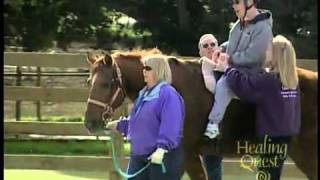 Healing Quest: Animal Assisted Therapy: Equine/Dolphin Therapy