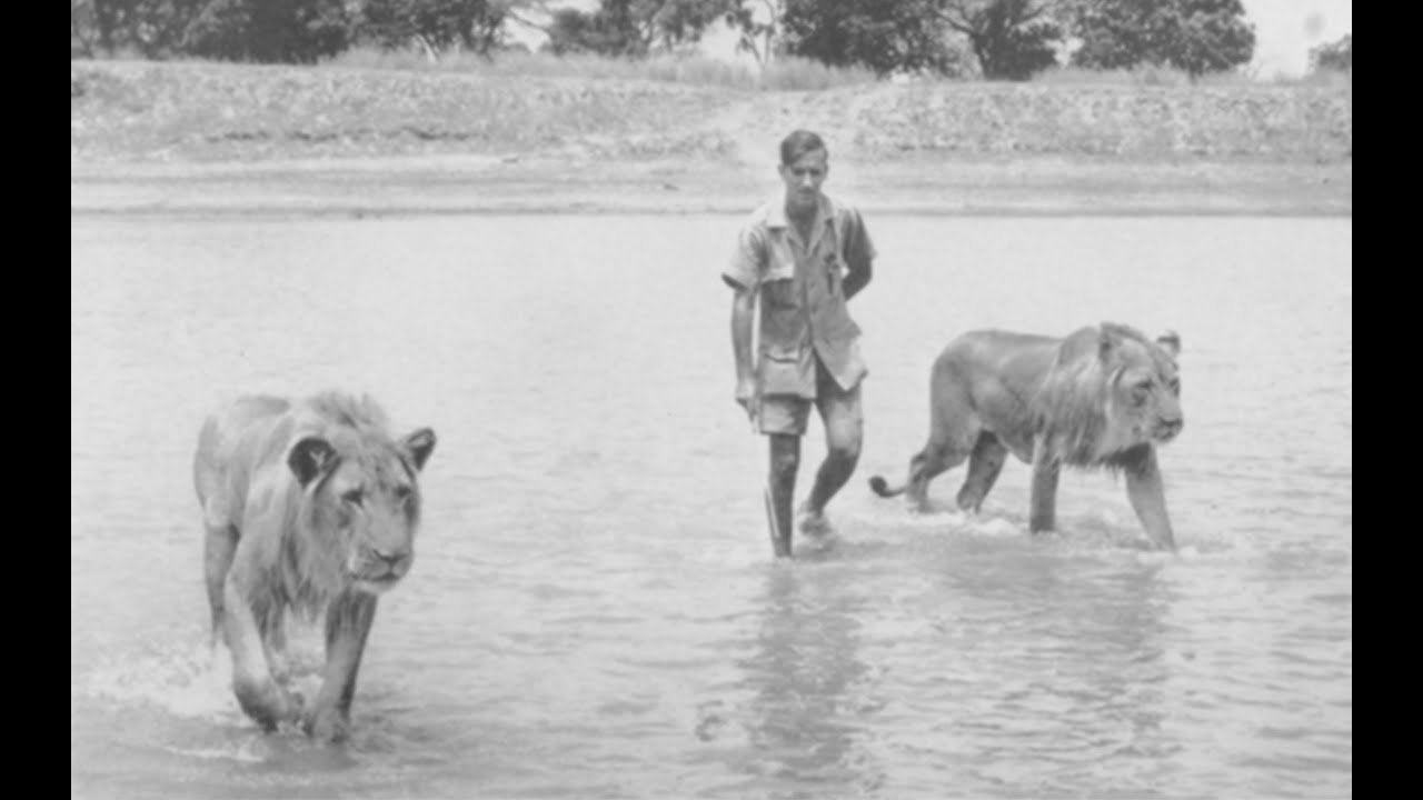 Return to the Wild - 1962 Film