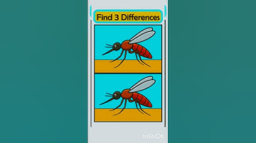 can you find 3 different #brainalert #brainchallenge #quiz #puzzle #puzzlequiz