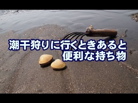 潮干狩りに行くときあると便利な道具 Youtube