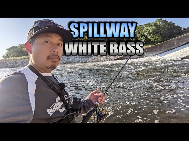 Spillway Fishing for White Bass 