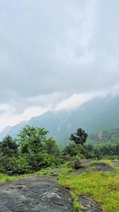 naturalvibe #adventure #new#nature #rainsounds#rainseason#naturalvideo#song#music#bollywood#culture