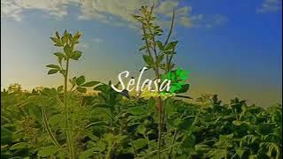 Story'Wa 30 Detik Hari Selasa Terbaru || Qoutes Hari Selasa 3 Agustus 2021