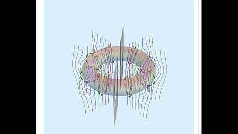 Vortex Rings