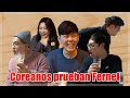Coreanos prueban el Fernet //페르넷을 먹어보자
