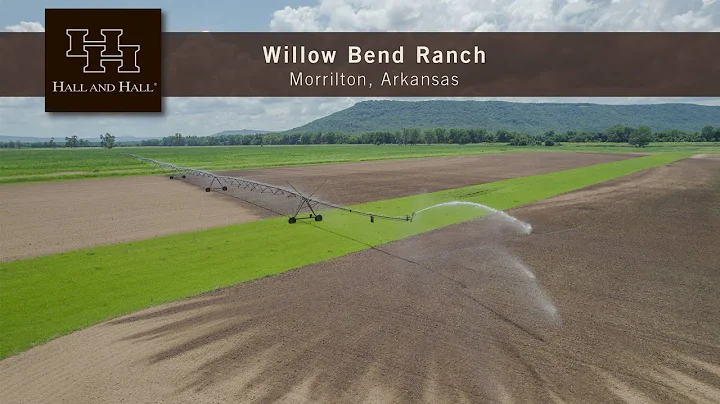 Willow Bend Ranch Auction - Morrilton, Arkansas