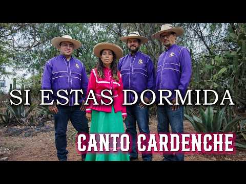 Carátula de Si estás dormida