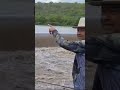 ELE NÃO CONSEGUIU ARREMESSAR O SEU MOLINETE#shorts#pescador