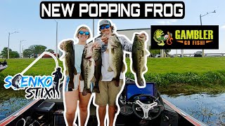 We SMASHED the Popping Frog BITE on Lake Okeechobee! (20+LBS)