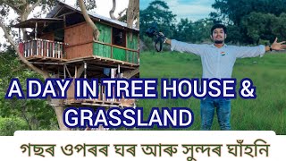 A Day in Tree House &  Grassland || Tenzing Bodosa Elephant Friendly Tea Eco Tourism