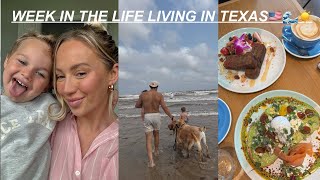 WEEK IN THE LIFE VLOG: Date Day, Grocery Haul, Thrifting, Deep Chats