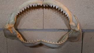 Museo De Imanol En Ricla 4K