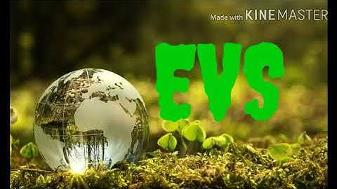 Grade -2 EVS Our universe