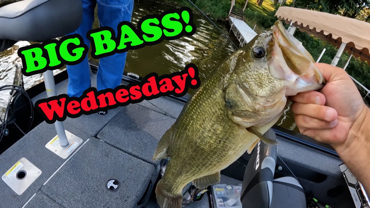 Won BIG BASS on Wednesday night league!