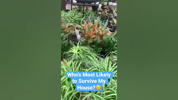 It's an ADDICTION❗️🪴An easy way to identify if you have a problem #shorts #shortsvideo #lowesdeals