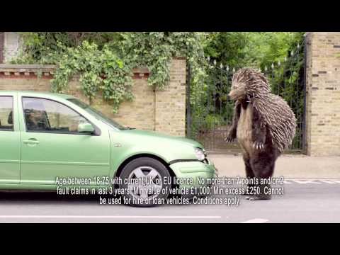 Temporary Car Insurance | Tempcover - Hedgehog Attack - Advert 2