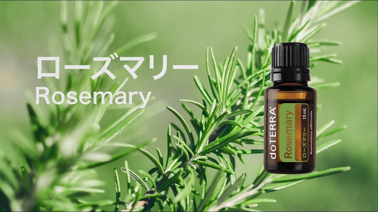 NEW即納 doTERRA/ドテラ イランイラン ローズマリー 各15mlセット ...