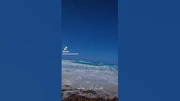 اغنية كيفك محمد اشرف حالات واتس اب 